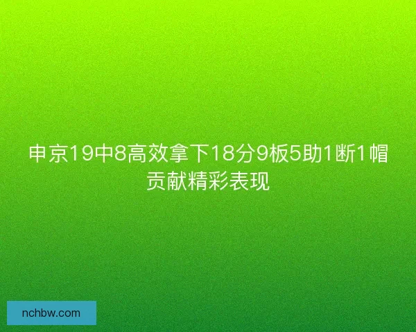 申京19中8高效拿下18分9板5助1断1帽贡献精彩表现