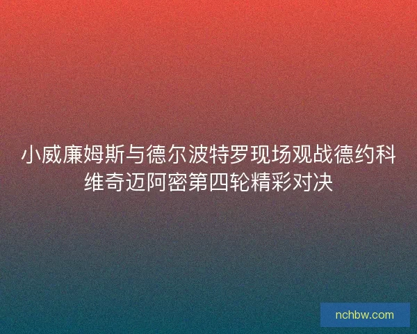 小威廉姆斯与德尔波特罗现场观战德约科维奇迈阿密第四轮精彩对决