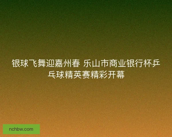 银球飞舞迎嘉州春 乐山市商业银行杯乒乓球精英赛精彩开幕